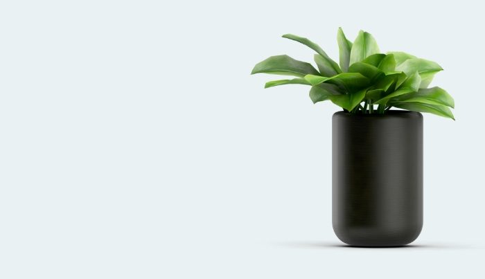 Plant for office